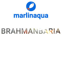 Brahmanbaria