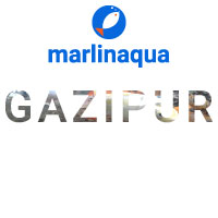 Gazipur