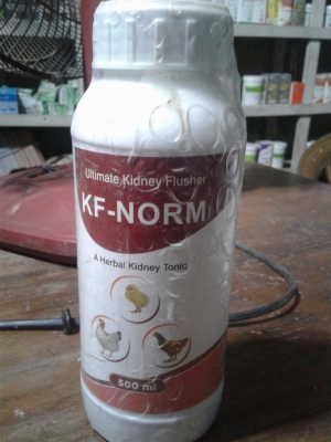 KF-NORM